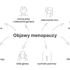 Grafika przedstawia objawy menopauzy: kołatanie serca, nocne poty, zaburzenia snu, osteoporozę, zmienność nastroju, bóle głowy, suchość pochwy i obniżone libido.