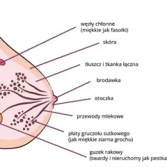 Czy rak piersi jest groźny? Poznaj statystyki, objawy i ryzyko zdrowotne
