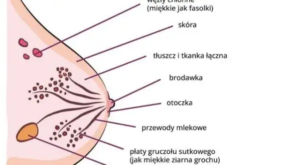 Czy rak piersi jest groźny? Poznaj statystyki, objawy i ryzyko zdrowotne